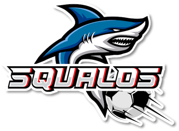 Squalos Beach Soccer Team
